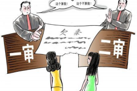 长葛要账公司更多成功案例详情